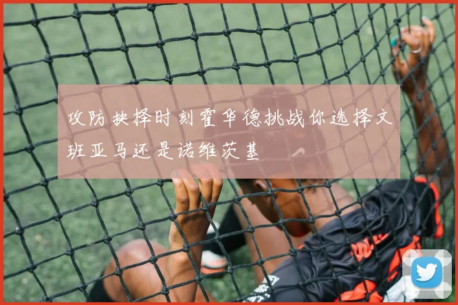 攻防抉择时刻霍华德挑战你选择文班亚马还是诺维茨基